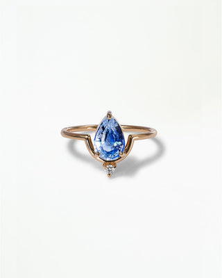 Nestled Rings